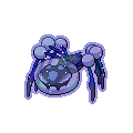 Galactic Araquanid